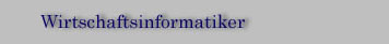 Wirtschaftsinformatiker